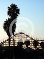 Belmont Park roller coaster