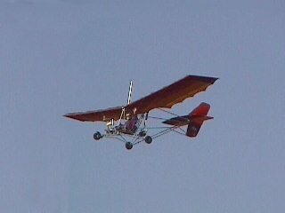 Cobra on 1st flight at Hemet Ryan