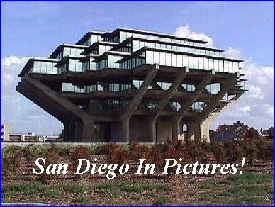 San DIego In Pictures!